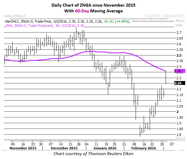 Options trading halted