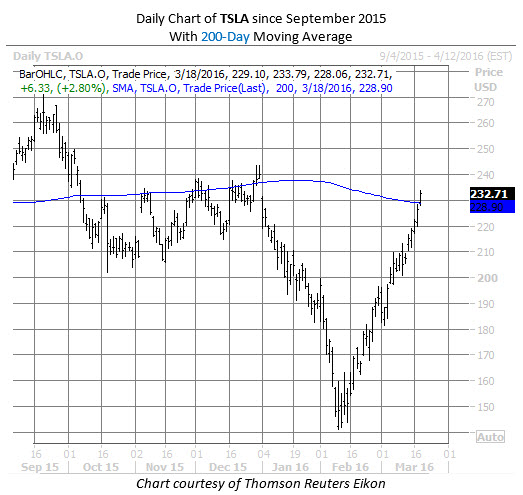 Stock options tesla