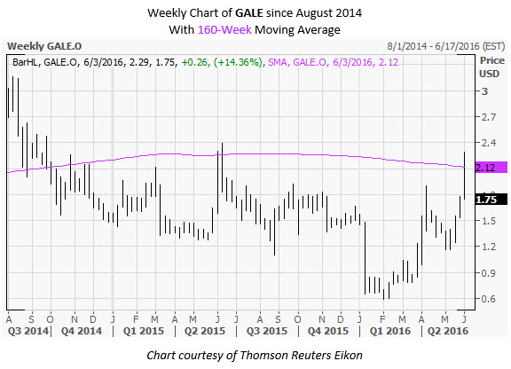 Gale stock options