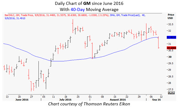 Schaeffer stock options