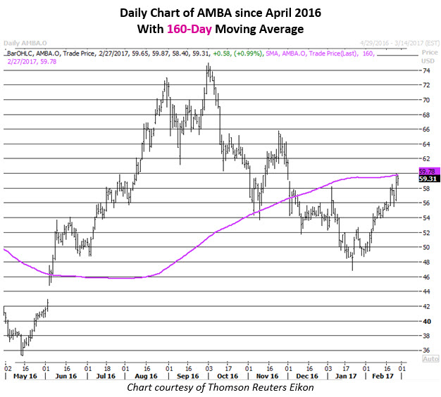 Schaeffer's weekly options trader