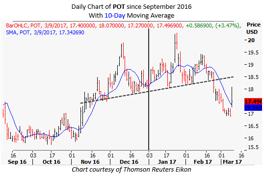 Potash corp stock options