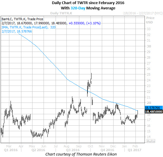 Twtr option trading