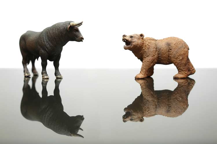 Bull and bear market environment