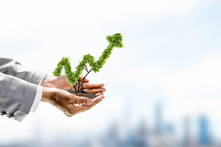 Options profits in trending market